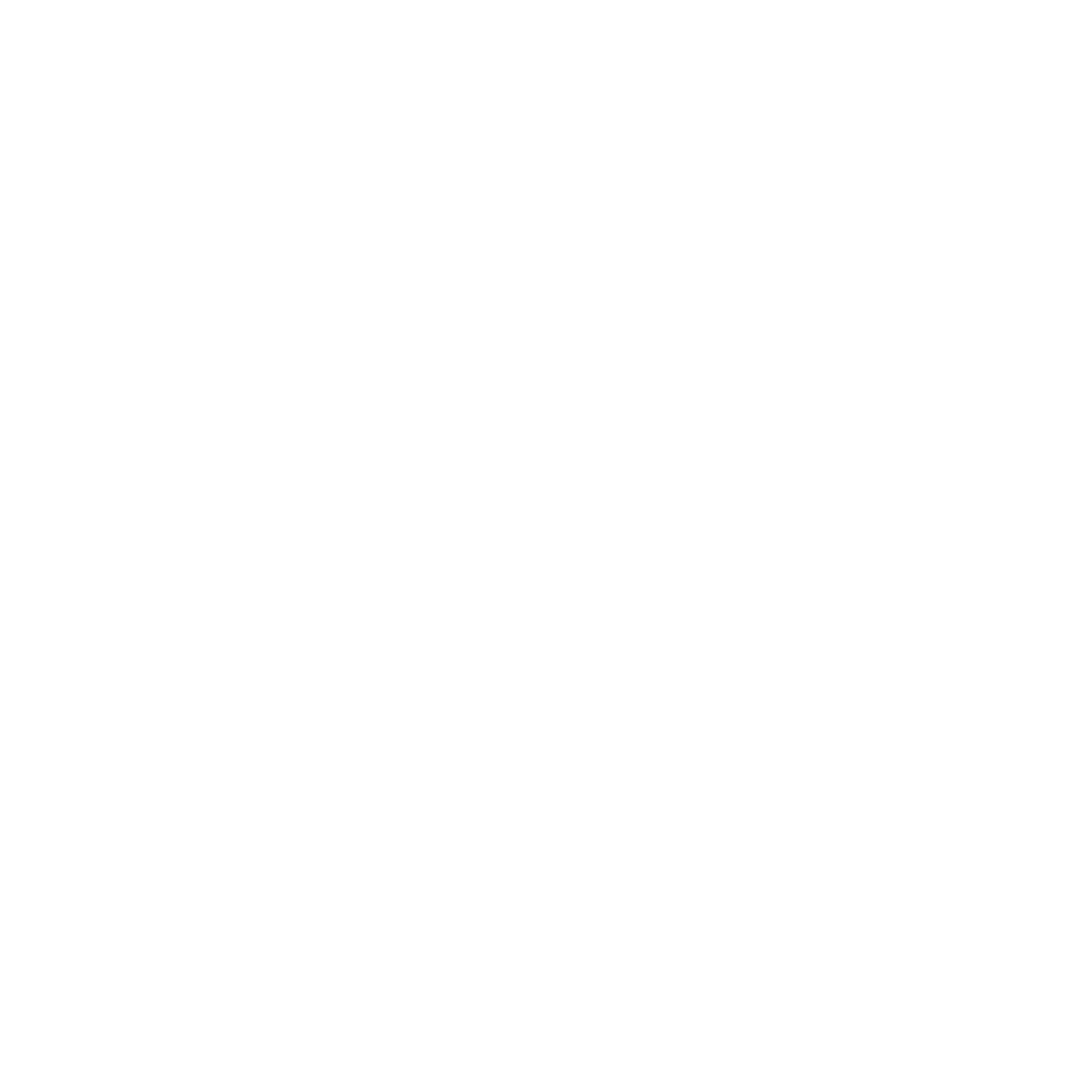 Spotify icon white